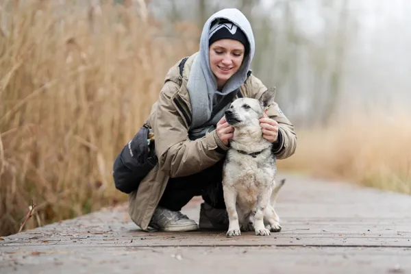 Znaleziono psa, Sosnowiec, 22 stycznia 2026 (3/5)