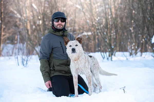 Pies do adopcji, Nowodwór, 25 stycznia 2026 (3/5)