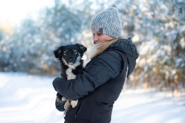 Pies do adopcji, Nowodwór, 25 stycznia 2026 (5/5)