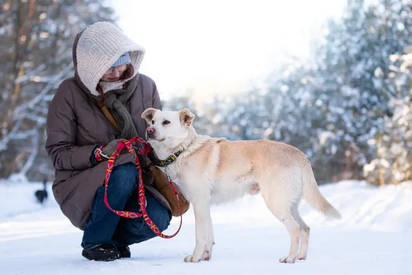 Pies do adopcji, Nowodwór, 27 stycznia 2026 (2/5)