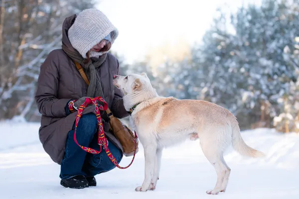 Pies do adopcji, Nowodwór, 27 stycznia 2026 (4/5)