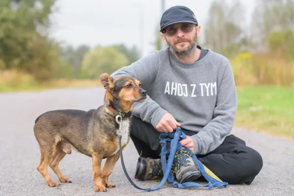 Pies do adopcji, Nowodwór, 10 lutego 2026 (4/5)