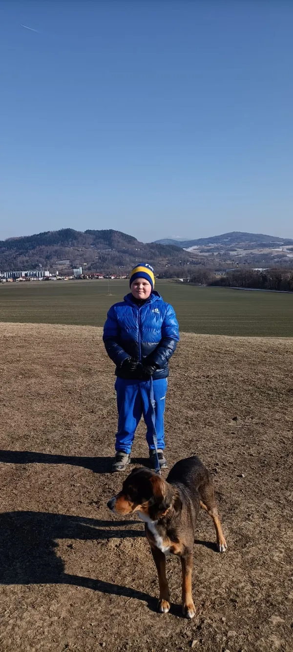 Zaginął pies, Lipowa, 13 lutego 2026 (3/4)