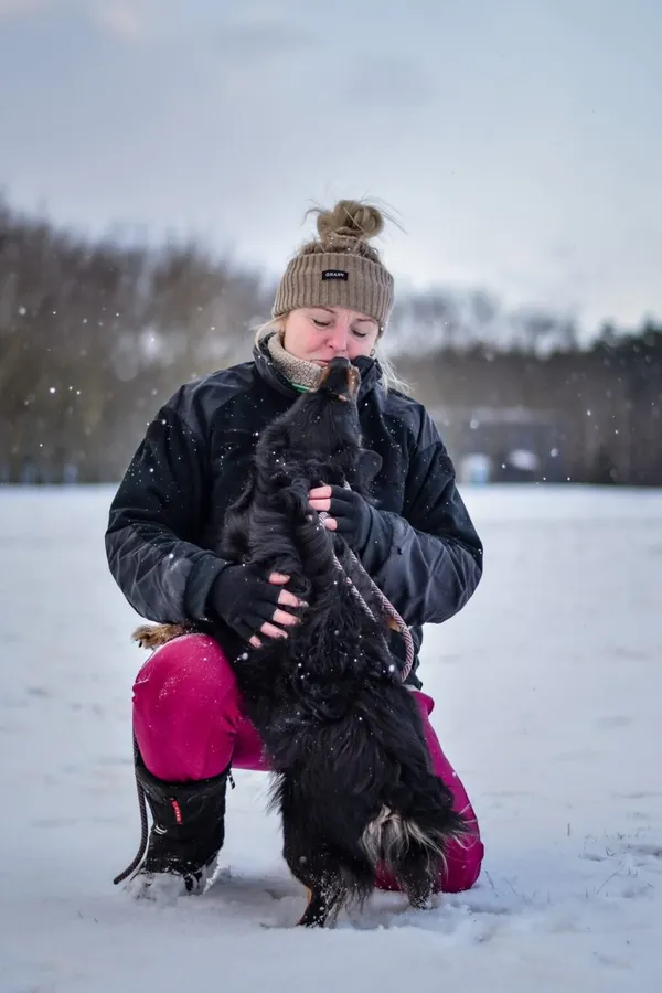 Pies do adopcji, Radom, 22 lutego 2026 (5/5)
