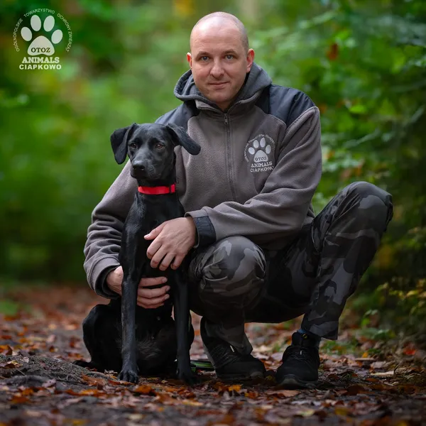 Pies do adopcji, Gdynia, 22 lutego 2026 (4/4)