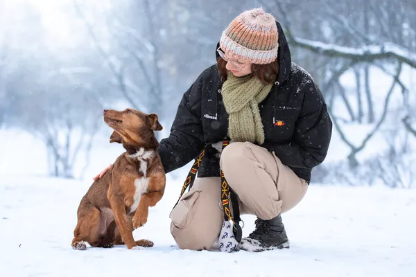 Pies do adopcji, Nowodwór, 22 lutego 2026 (3/5)
