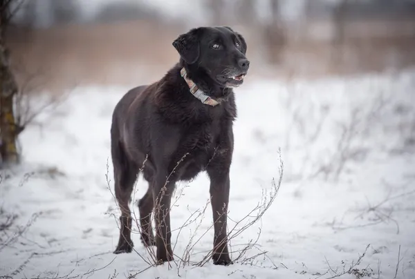 Oddam psa, Łódź, Radiostacja, 5 marca 2026 (4/5)