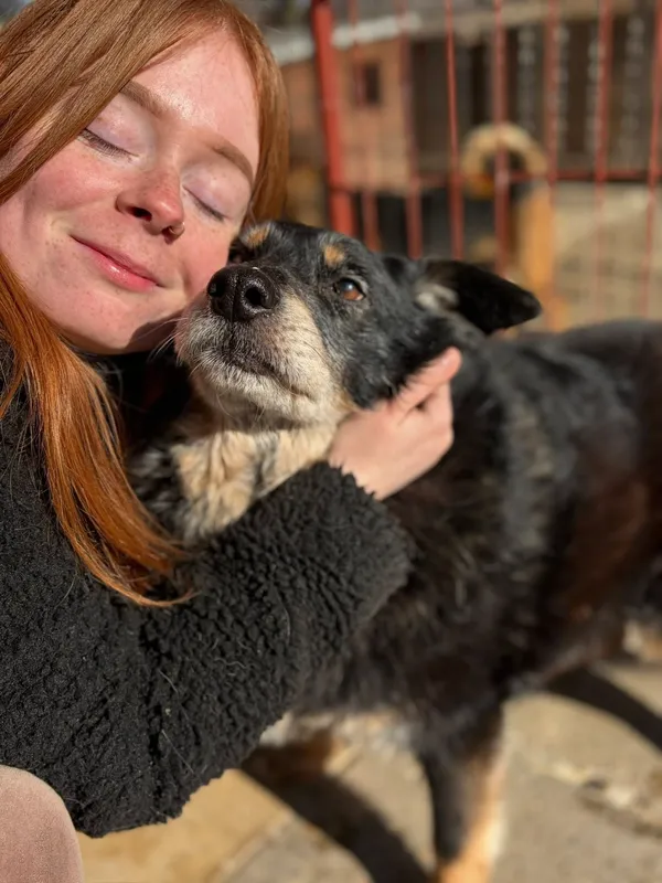 Oddam psa, Olsztyn, Zatorze, 22 marca 2026 (3/4)