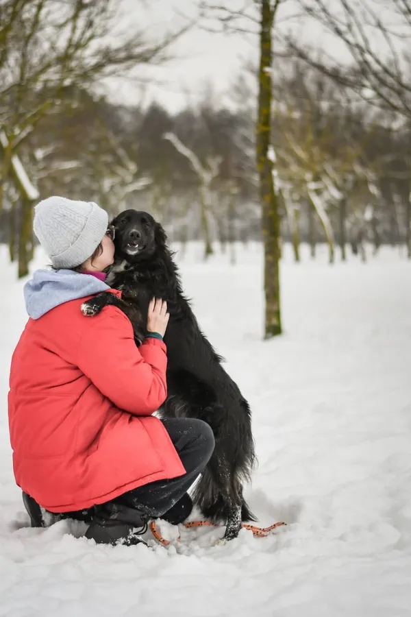 Pies do adopcji, Radom, 21 marca 2026 (2/5)