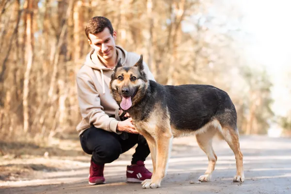 Pies do adopcji, Nowodwór, 22 marca 2026 (1/5)