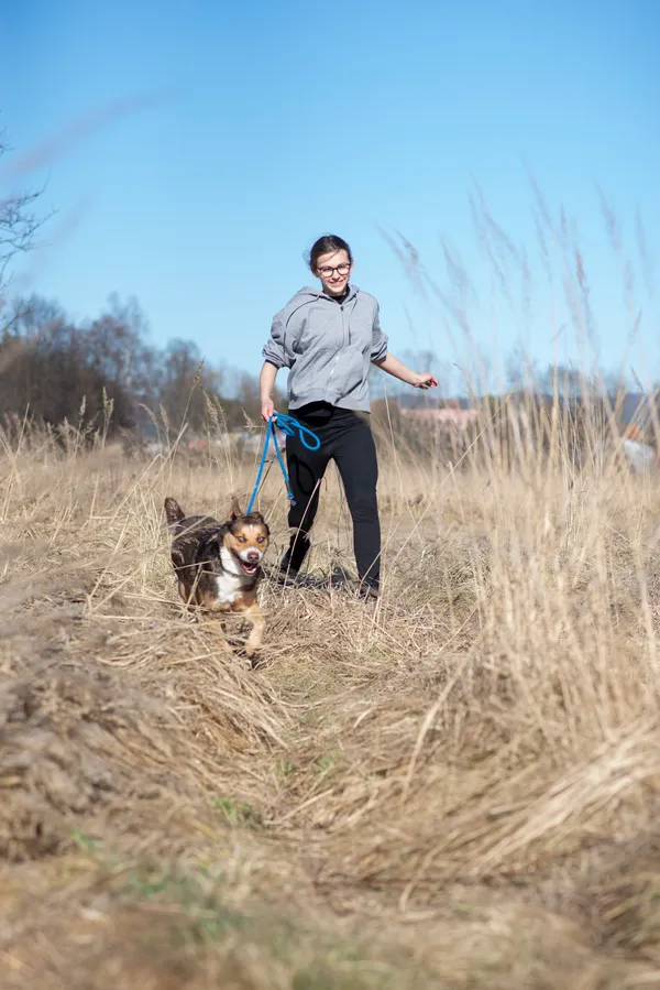 Pies do adopcji, Jelenia Góra, 5 marca 2026 (4/5)