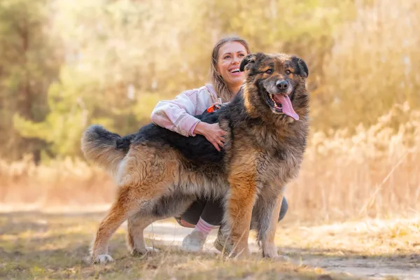 Pies do adopcji, Nowodwór, 26 marca 2026 (3/5)