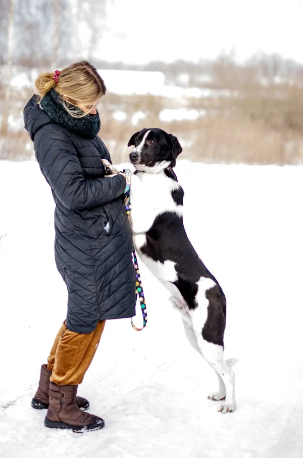 Oddam psa, Olsztyn, Grunwaldzkie, 28 marca 2026 (3/4)