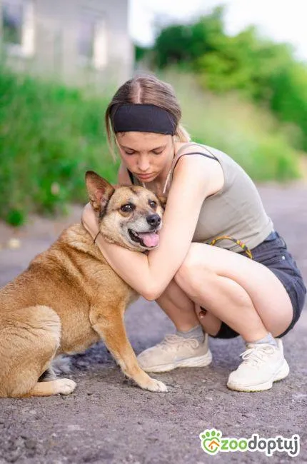 Oddam psa, Elbląg, Wyspa Spichrzów, 29 marca 2026 (2/3)