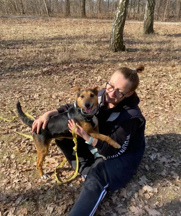 Pies do adopcji, Milanówek, 2 kwietnia 2026 (1/5)