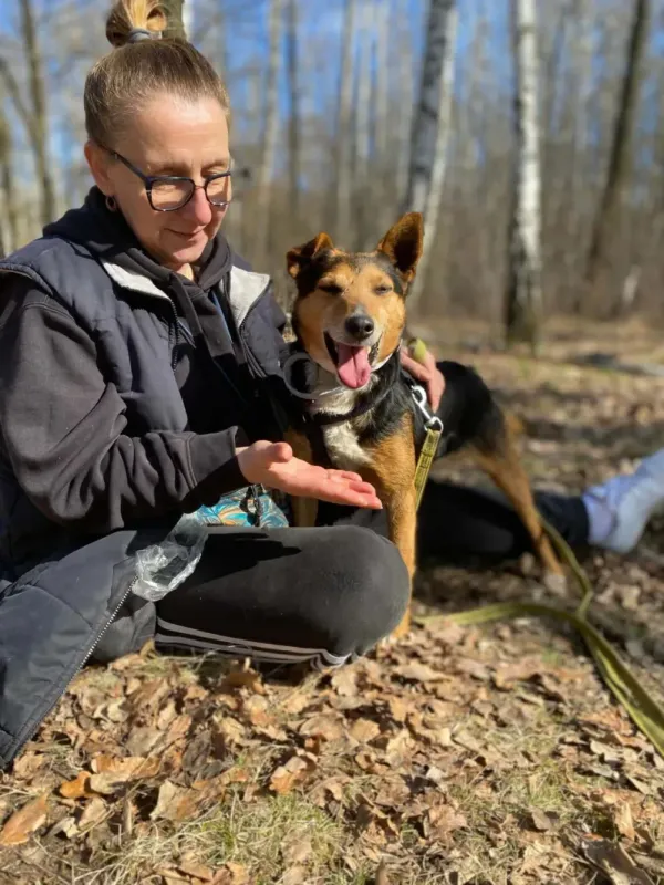 Pies do adopcji, Milanówek, 2 kwietnia 2026 (3/5)