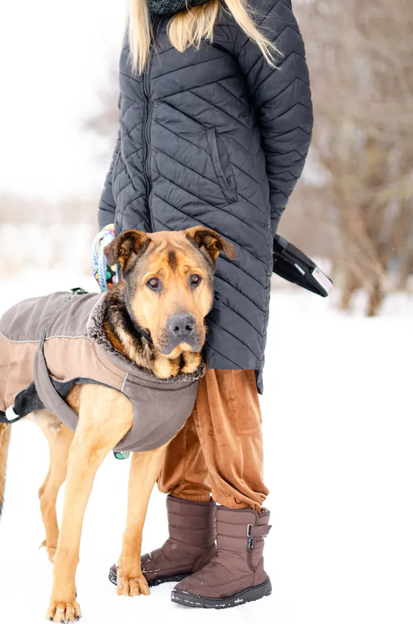 Oddam psa, Bartąg, 4 kwietnia 2026 (2/4)