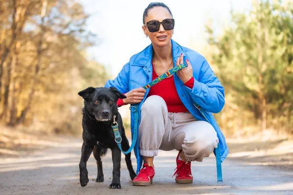 Pies do adopcji, Nowodwór, 7 kwietnia 2026 (4/5)