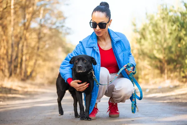 Pies do adopcji, Nowodwór, 7 kwietnia 2026 (5/5)