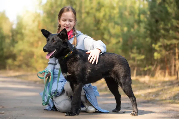 Pies do adopcji, Nowodwór, 8 kwietnia 2026 (5/5)