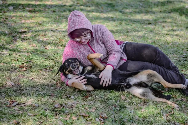 Pies do adopcji, Radom, 13 kwietnia 2026 (5/5)