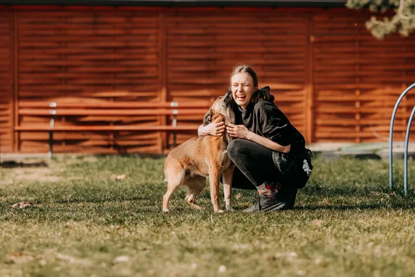 Pies do adopcji, Czartki, 13 kwietnia 2026 (2/5)