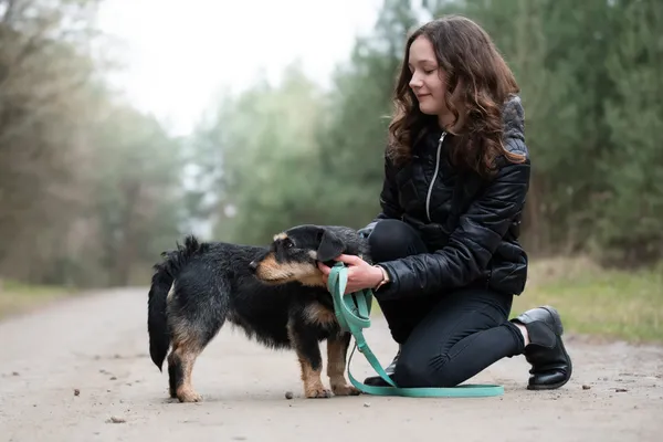 Pies do adopcji, Nowodwór, 15 kwietnia 2026 (2/5)