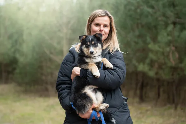 Pies do adopcji, Nowodwór, 21 kwietnia 2026 (3/5)