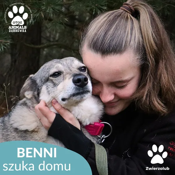 Pies do adopcji, Dąbrówka, 23 kwietnia 2026 (3/4)