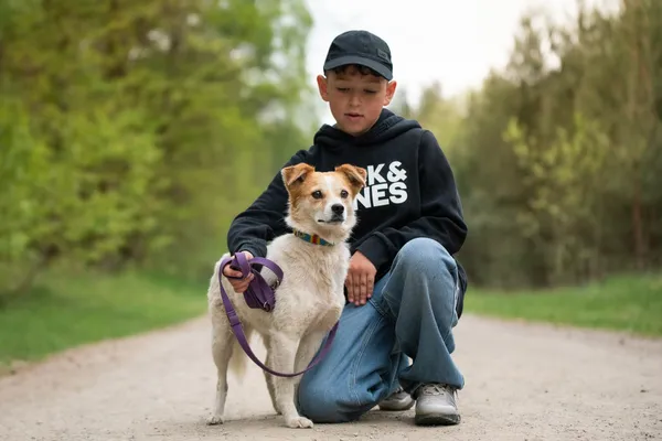 Pies do adopcji, Nowodwór, 12 maja 2026 (5/5)