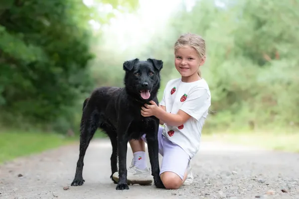 Pies do adopcji, Nowodwór, 29 lipca 2026 (5/5)