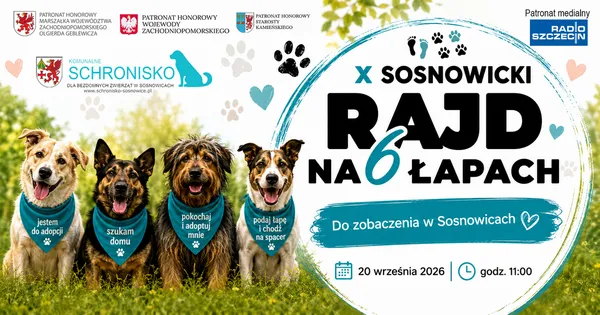 Pies do adopcji, Sosnowice, 20 września 2026