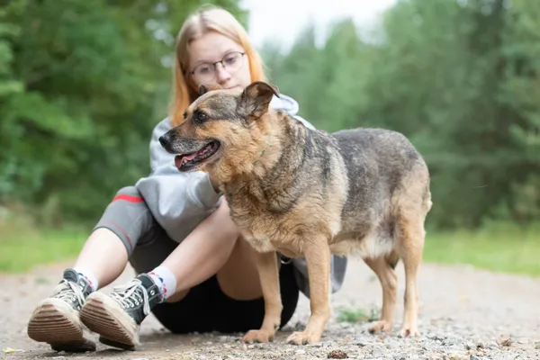 Pies do adopcji, Nowodwór, 1 września 2026 (4/5)