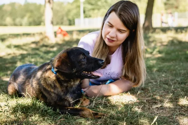 Pies do adopcji, Radom, 2 września 2026 (4/5)