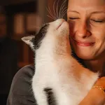 Kot do adopcji