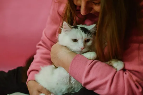 Kot do adopcji, Radom, 14 października 2026 (5/5)