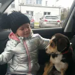 Zaginął pies, Nowe Grobice, 1 stycznia 2022