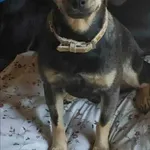 Śliczna dziewczynka