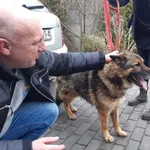 Oddam psa, Olkusz, 26 lutego 2022