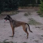 Zaginęła w Milanówku w dniu 24 czerwca