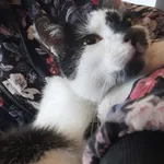 czyja zguba? Towarowa Jastrzębie