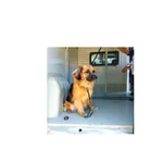 Pikusia (nr rej. P-5252/22) suczka urodzona w listopadzie 2014r., przyjechała do Schroniska z ul. Mickiewicza w dniu 02.09.2022 r.