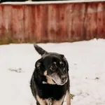 Joker 616096700059098