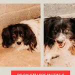 Axel 616093901445747