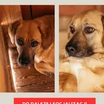 Cynamon 616093900960881