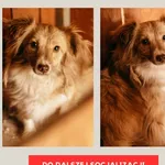 Fibi 616093901768770