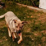 Freja 616093902277342