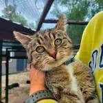 Oddam kota, Olsztyn, 20 grudnia 2023