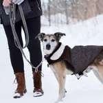 Max 628/2023 REZERWACJA