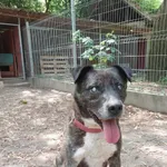 Skazany Na Samotność